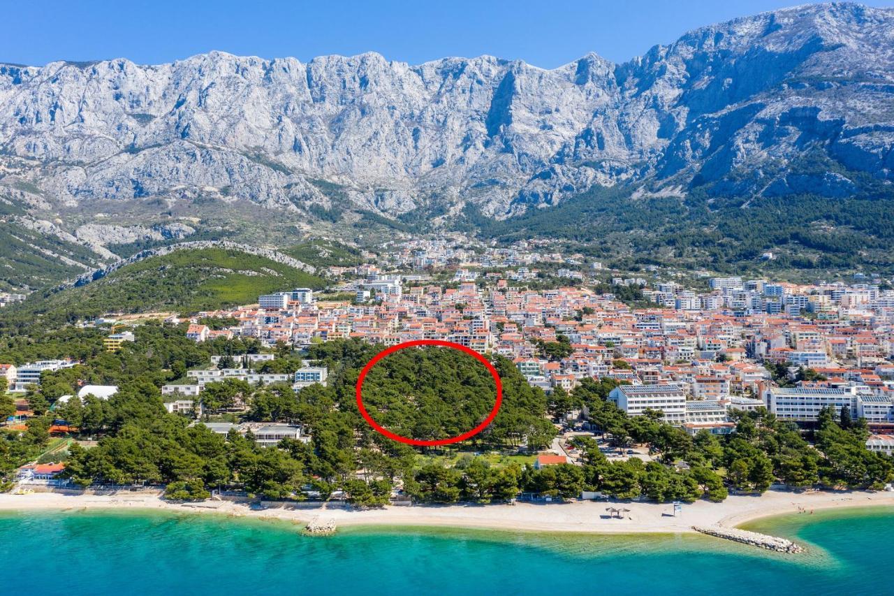 By The Sea - 19558 * Makarska